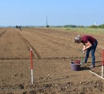 La vigne reprend vie à Mazé