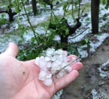 La grêle s'abat sur Vouvray 