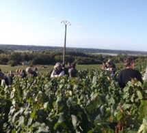 Visites de vignes en Touraine : demandez le programme