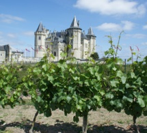 Les vignes du Château de Saumur confiées aux élèves de Montreuil-Bellay 