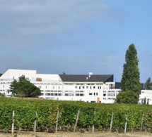 Les effectifs viticoles en hausse au lycée Edgard-Pisani