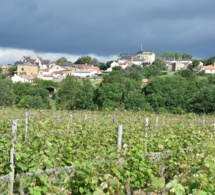 Moins d’exploitations en Val de Loire en 10 ans 