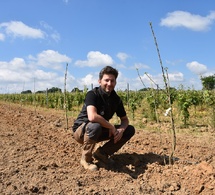 Les pommiers vont fleurir au milieu des vignes