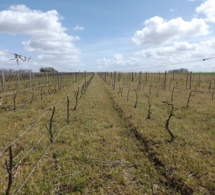 Cap sur l’AOC Vendôme