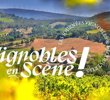 Une journée du vin avec Vignobles en fête