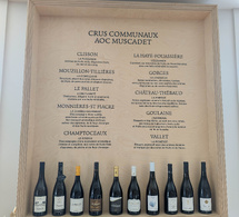 ​Ne dites plus « cru » mais « communale » du Muscadet