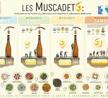 ​3, 6, 15 et 24 mois : une nouvelle grille de lecture pour le Muscadet