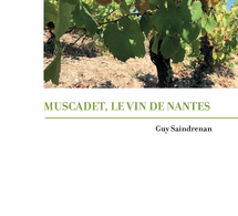 Guy Saindrenan plonge dans l’histoire du Muscadet