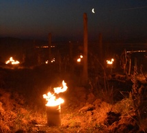 Trois coups de froid sur la Loire