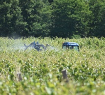 Première victoire pour le cuivre