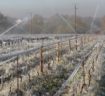 L’aspersion n’est pas de l’irrigation