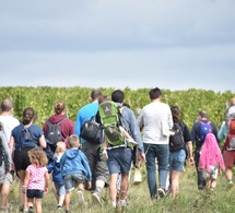 Vignes Vins Randos, le retour