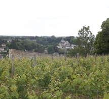 Dernière ligne droite vers l’AOC Amboise, en 2027