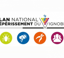 Outils numériques : le PNDV vous sonde 