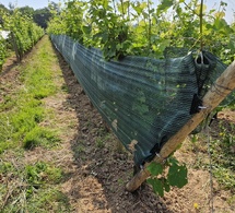 Des filets contre les coups de chaud